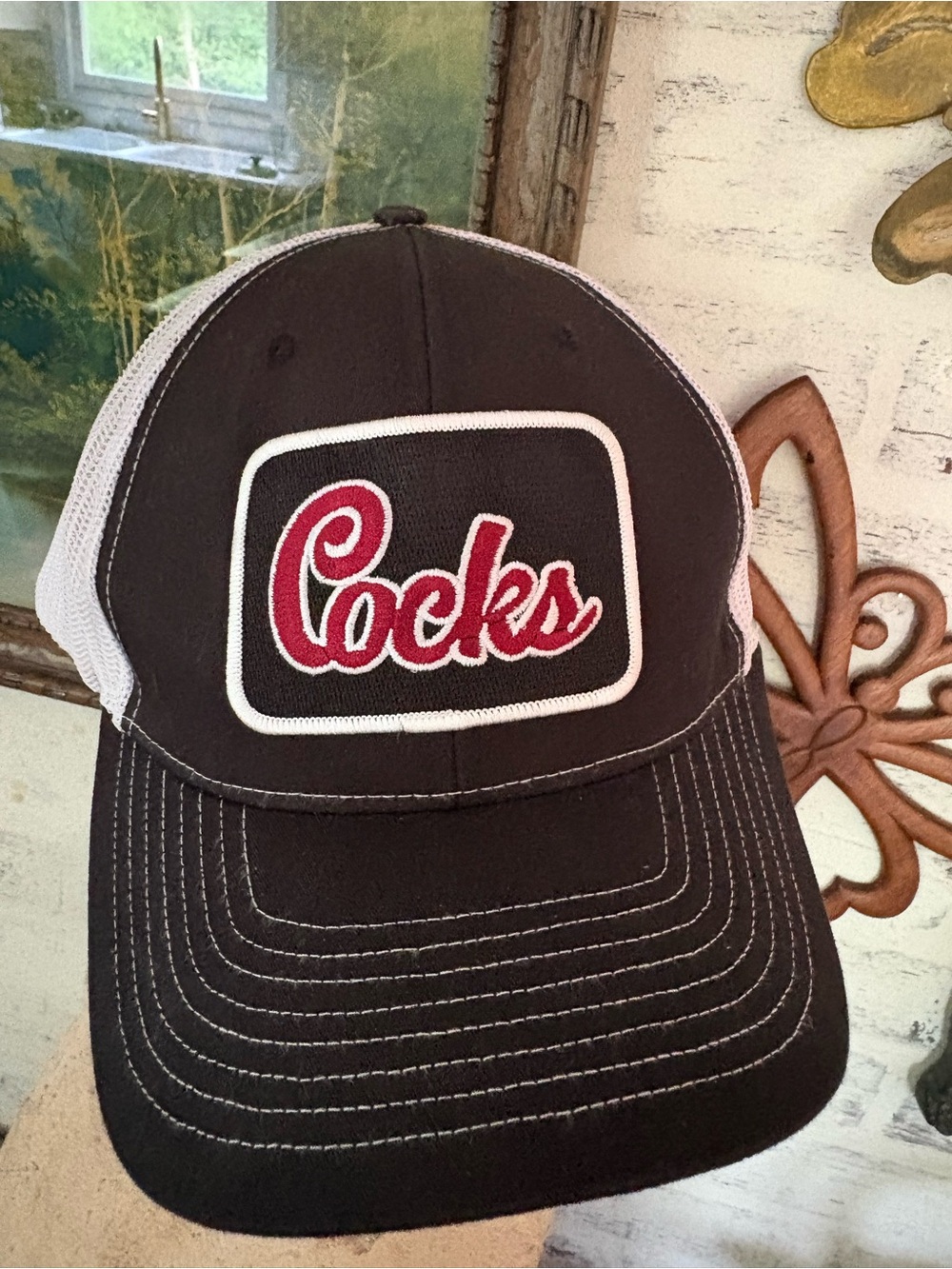 Gamecocks Trucker Hat